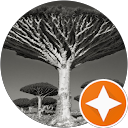 Laureline Guillou profile picture